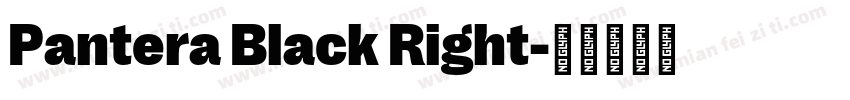 Pantera Black Right字体转换